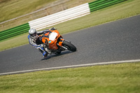 Middle Group Orange Bikes